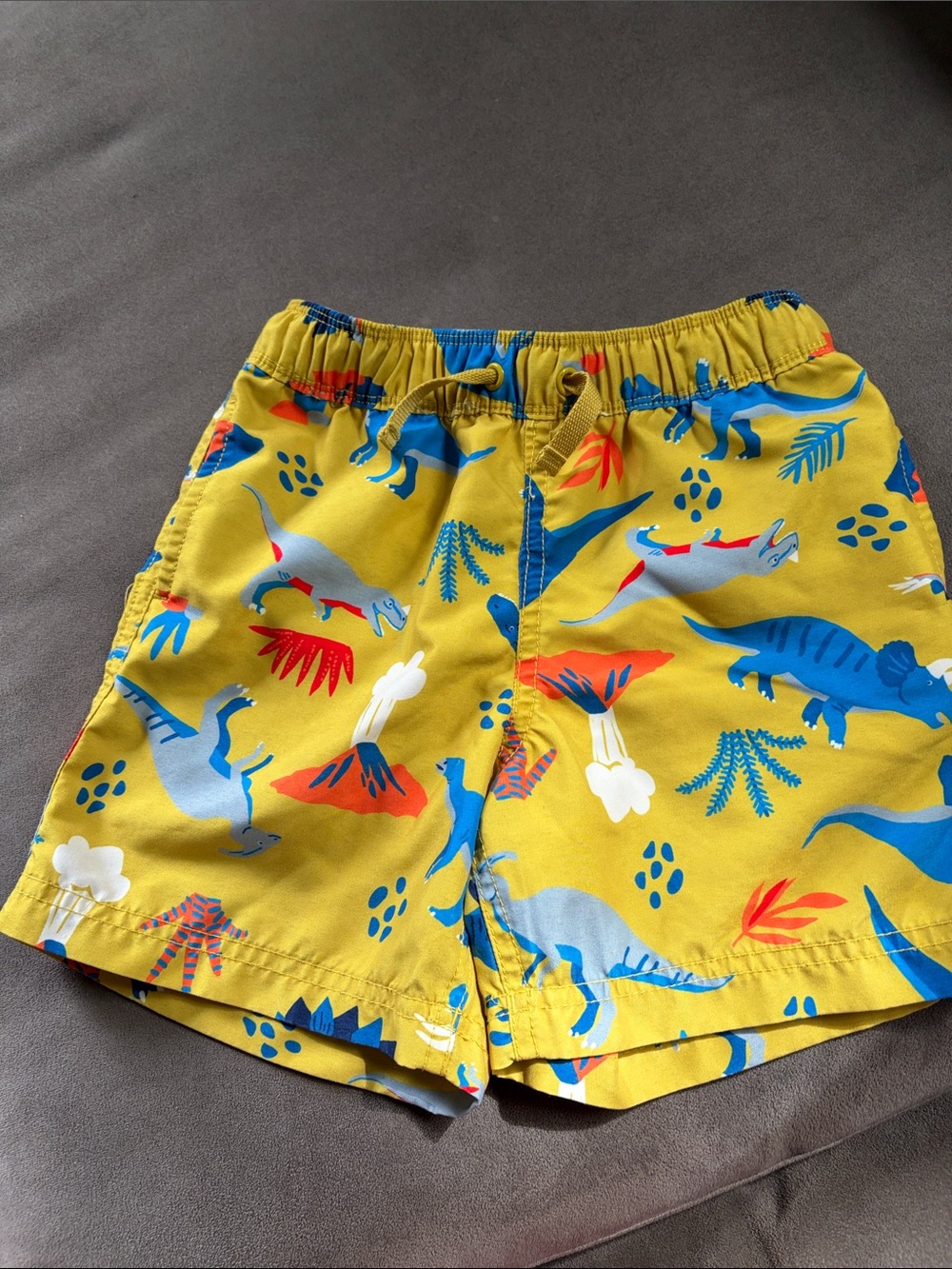 Hanna Andersson Yellow Swim Trunks with Blue & Red Dinosaur Print